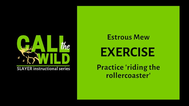 Exercise | Estrous Mew