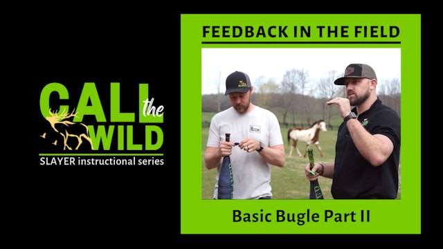 Feedback in the Field | Basic Bugle Part II