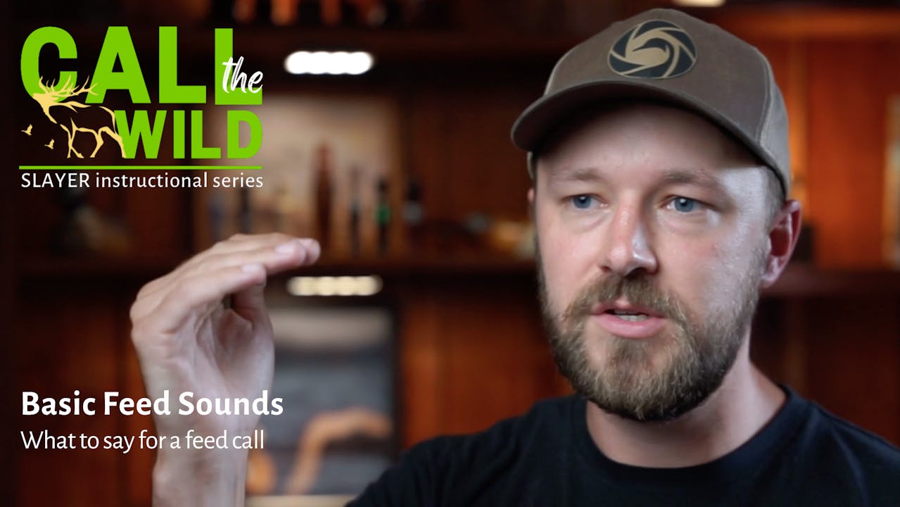Episode 11 Basic Feed Sounds How To Use a Duck Call Call the Wild