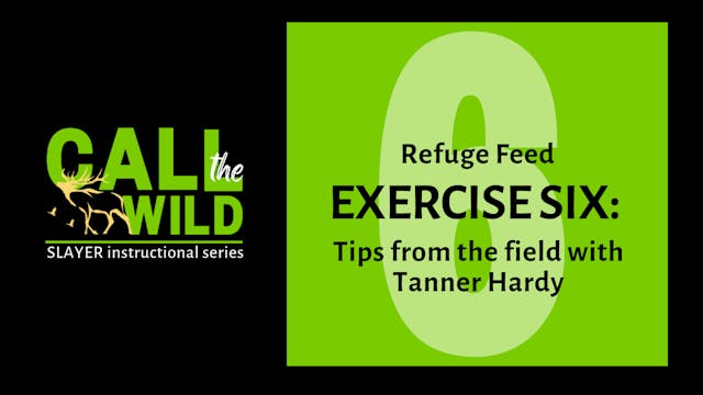 Exercise Six: Practice the Refuge Feed
