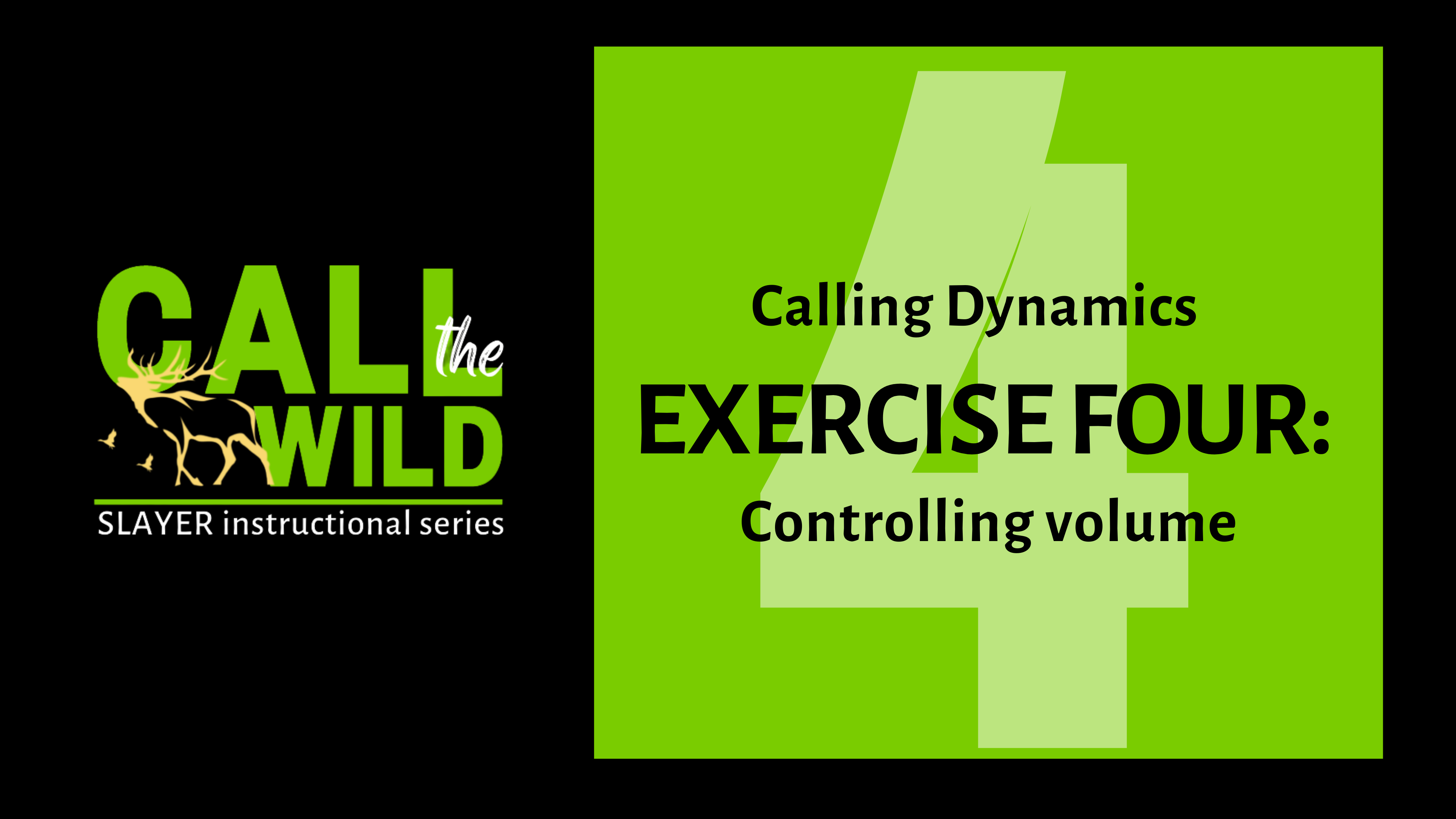 Exercise Four: Practice Calling Dynamics