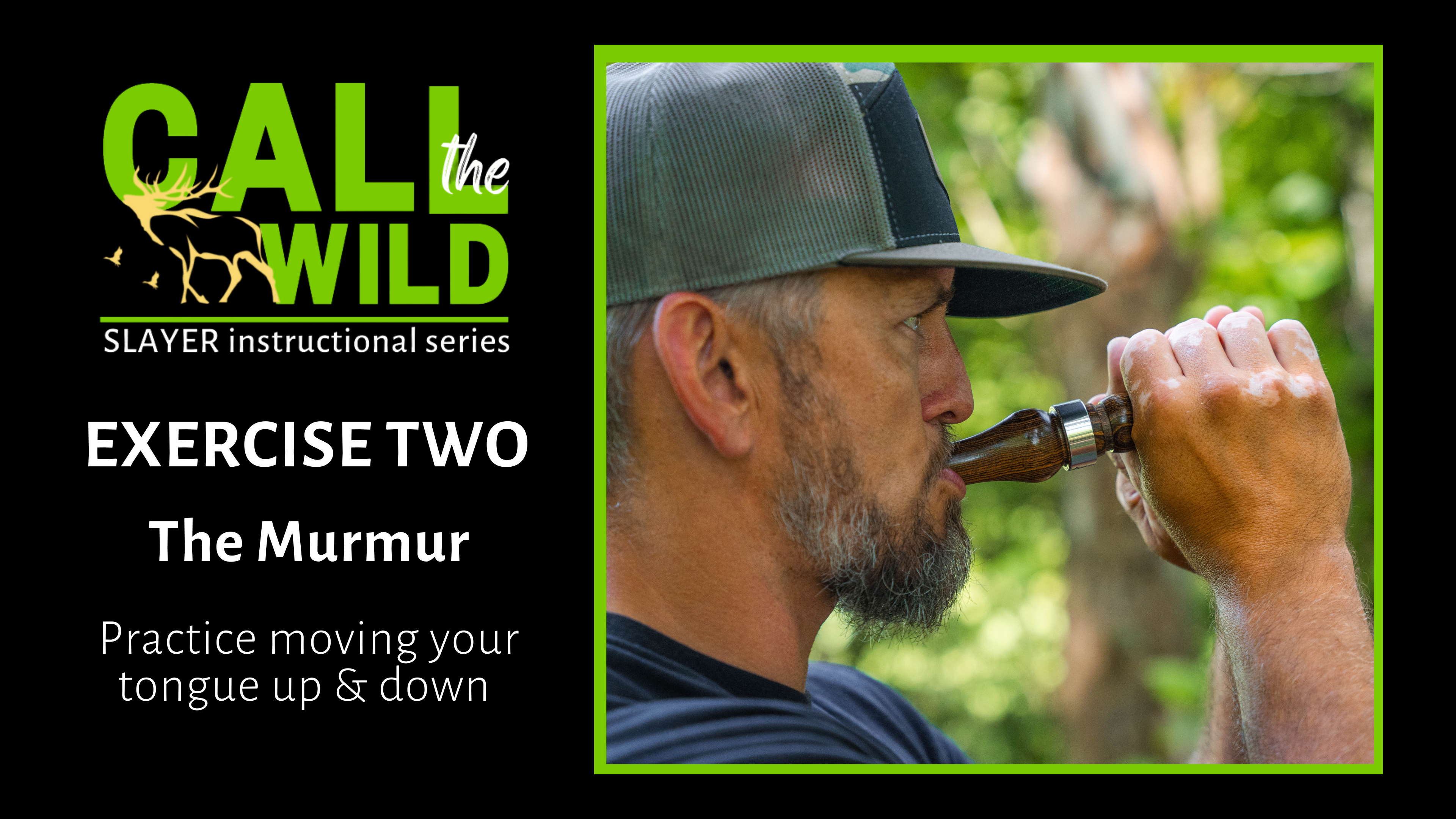 Exercise | The Murmur