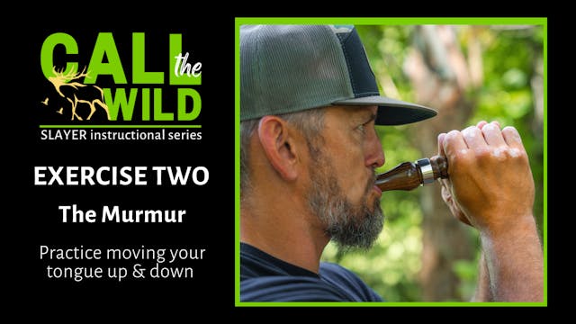 Exercise | The Murmur