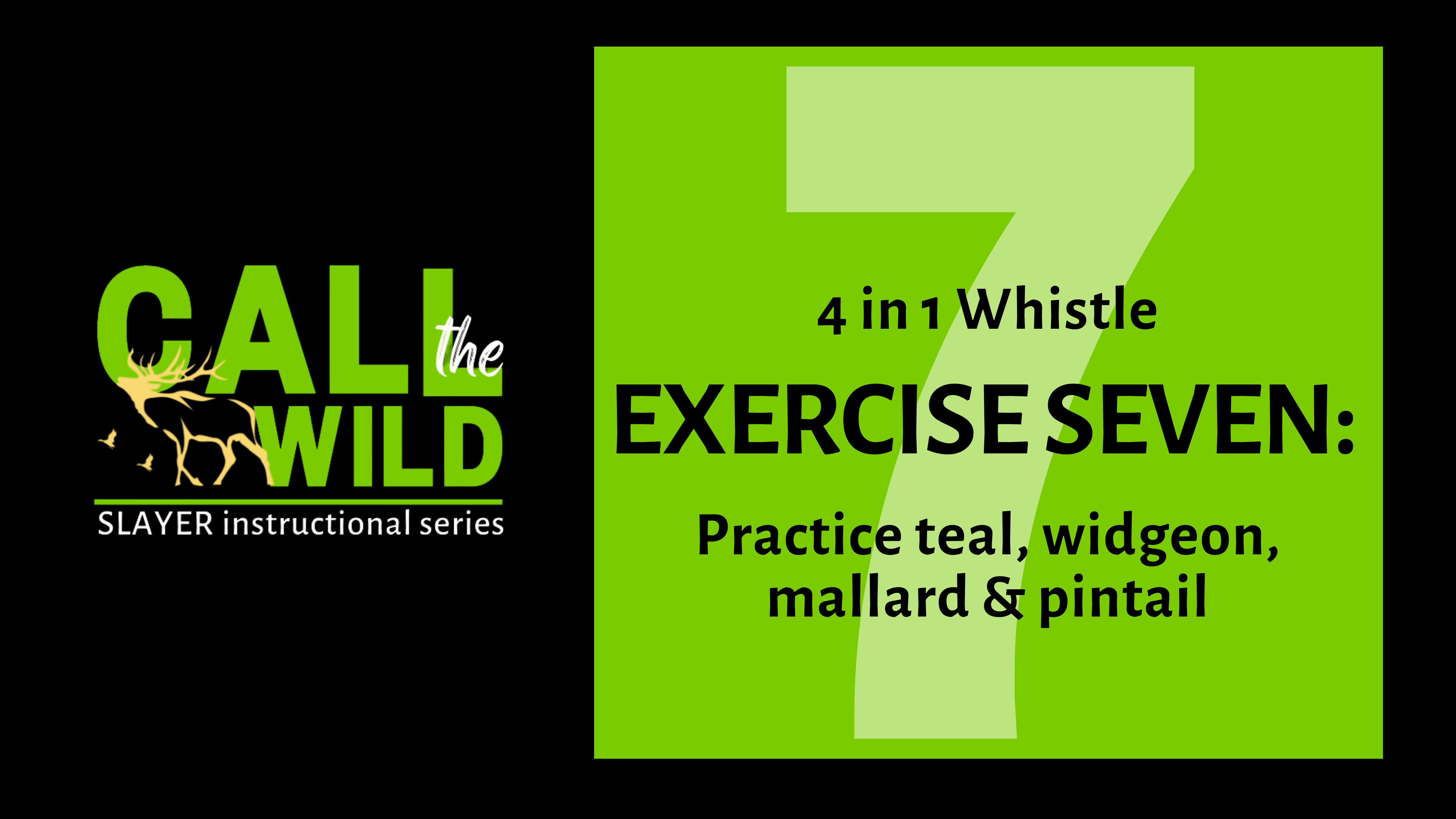 Exercise Seven: Practice Slayer's 4 in 1 Duck Whistle