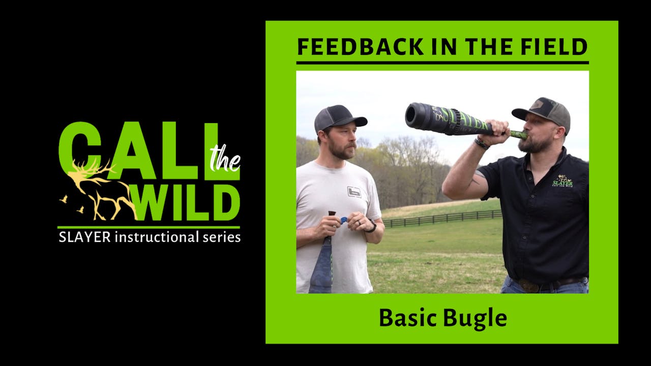 Feedback in the Field Basic Bugle Learn How to Call Elk, Beginner