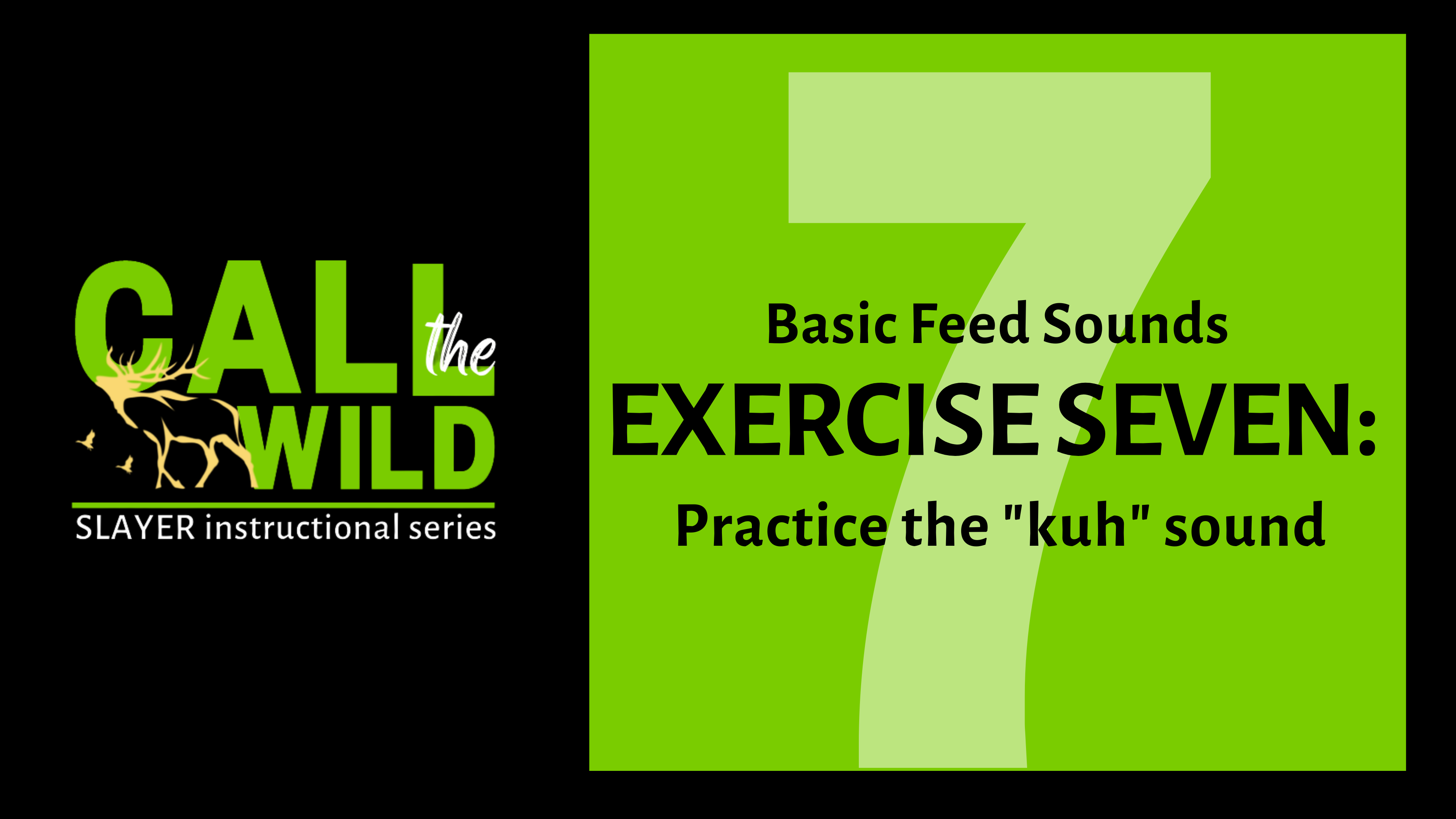 Episode 13 : Exercise SEVEN