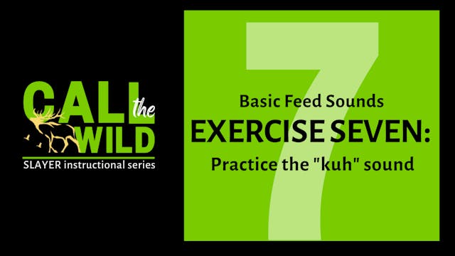 Episode 13 : Exercise SEVEN