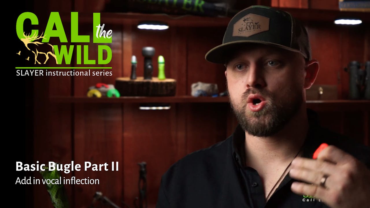 Basic Bugle Part II Learn How to Call Elk, Beginner Series Call the