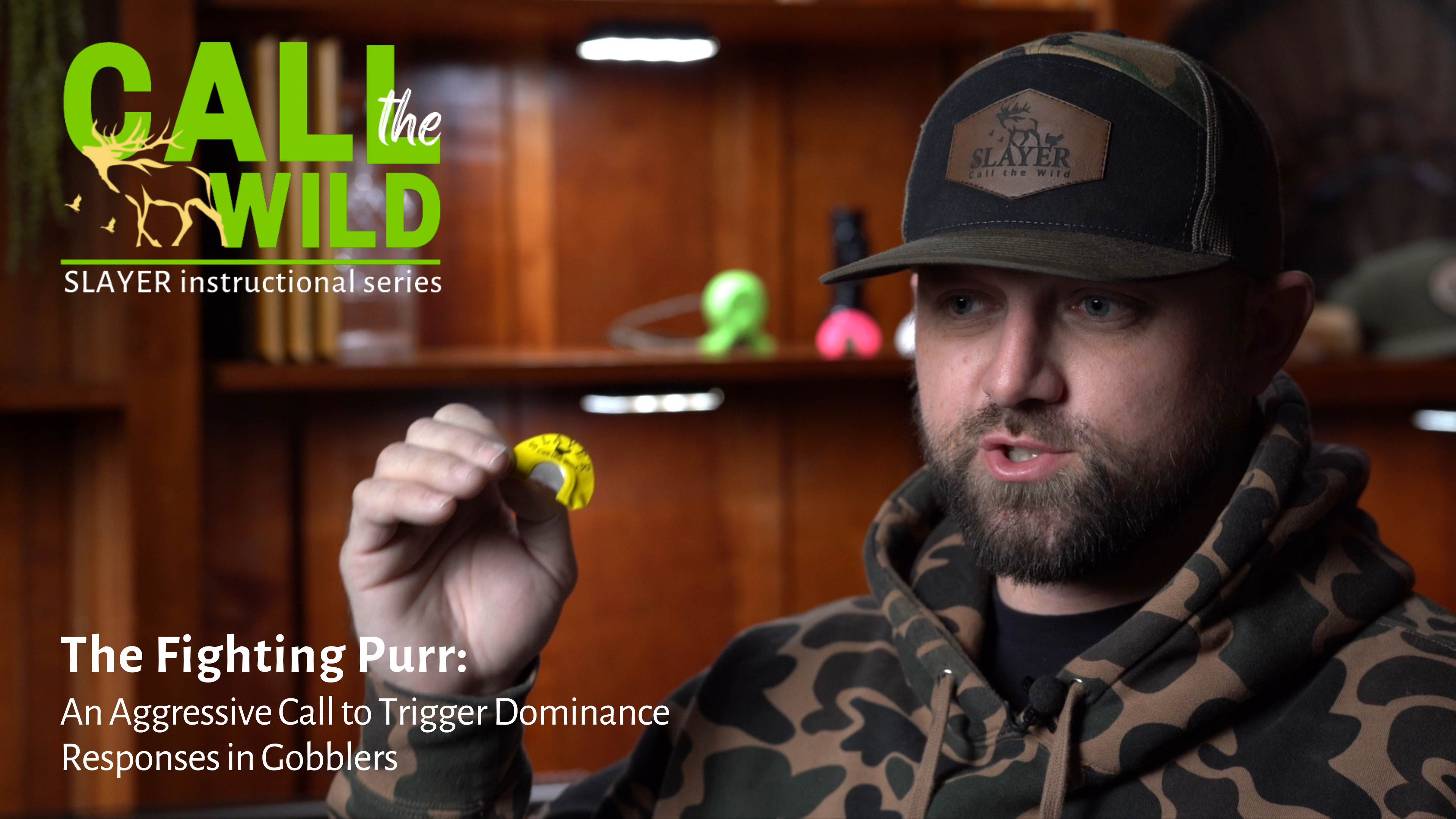 The Fighting Purr: An Aggressive Call to Trigger Dominance Responses in Gobblers