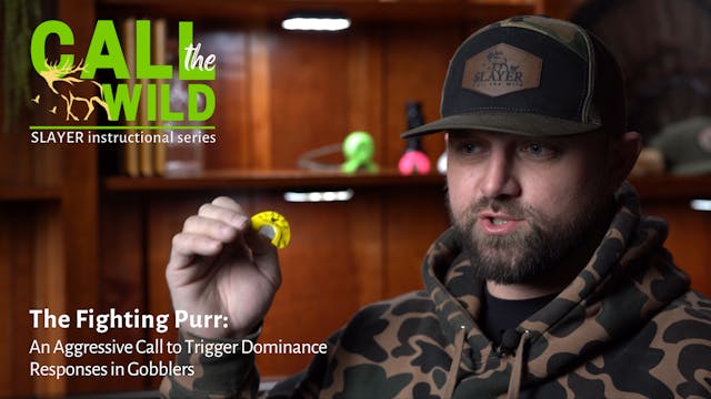 The Fighting Purr: An Aggressive Call...