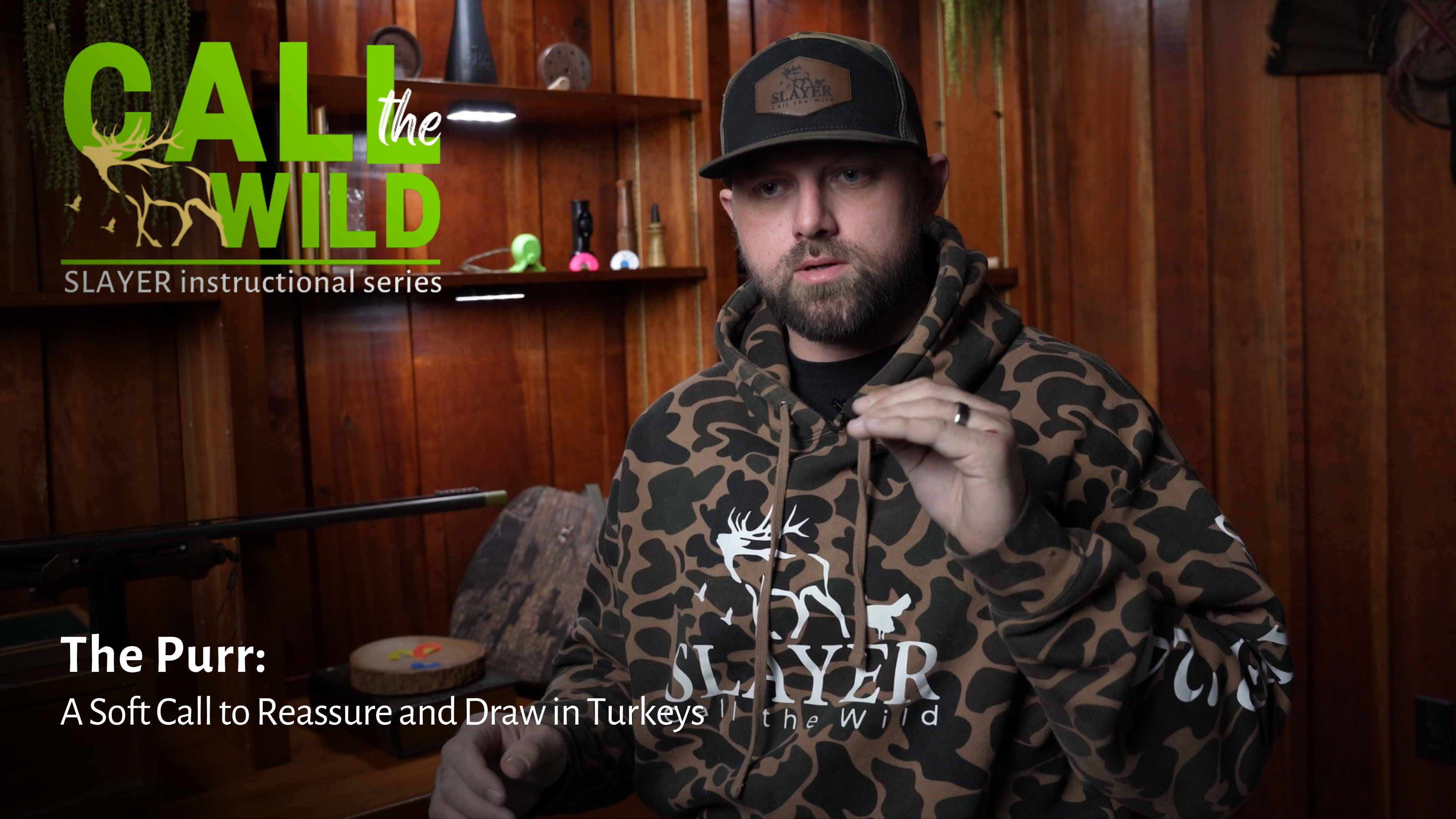 The Purr: A Soft Call to Reassure and Draw in Turkeys