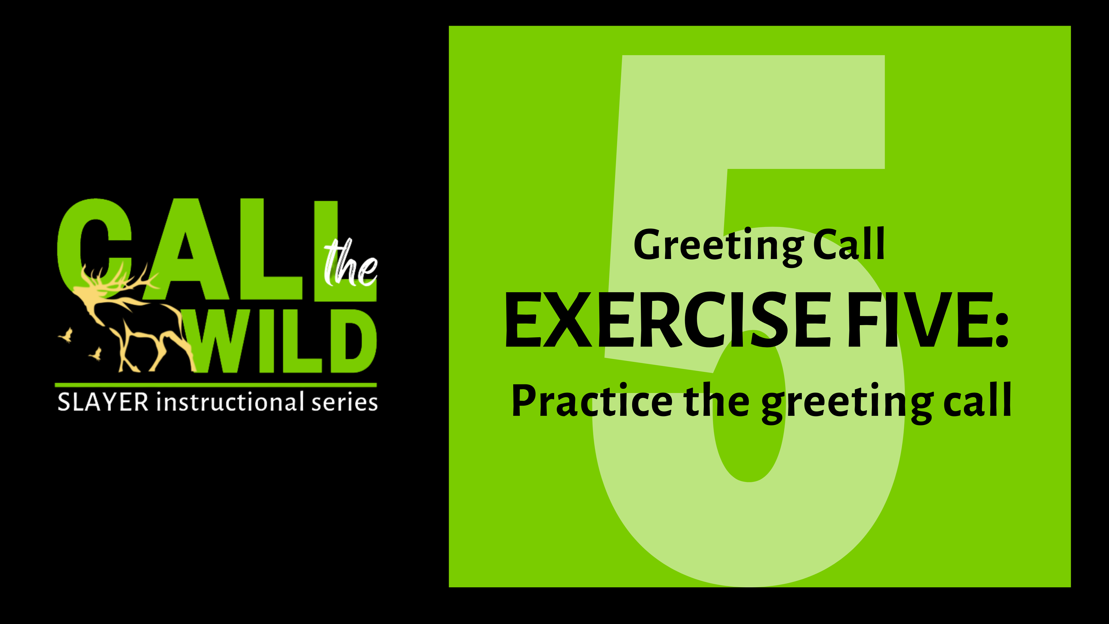 Episode 10 : Exercise FIVE