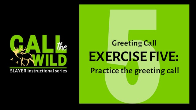 Episode 10 : Exercise FIVE