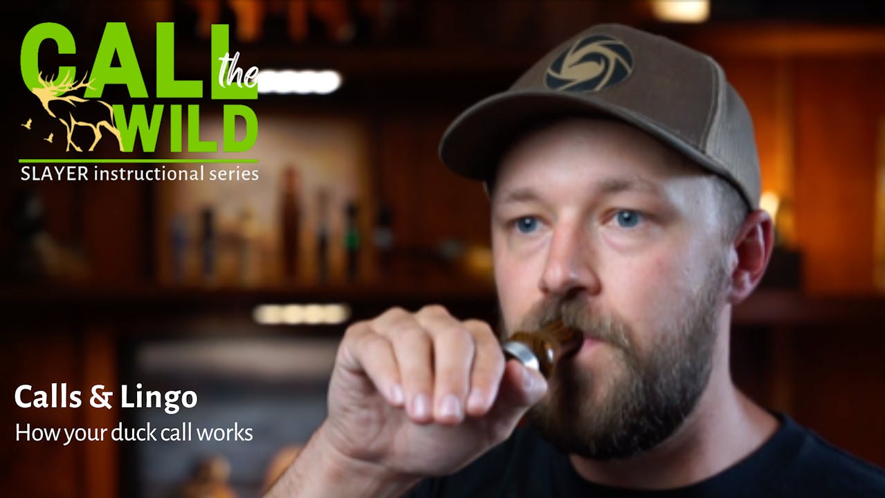 Episode 2 Calls and Lingo How To Use a Duck Call Call the Wild by