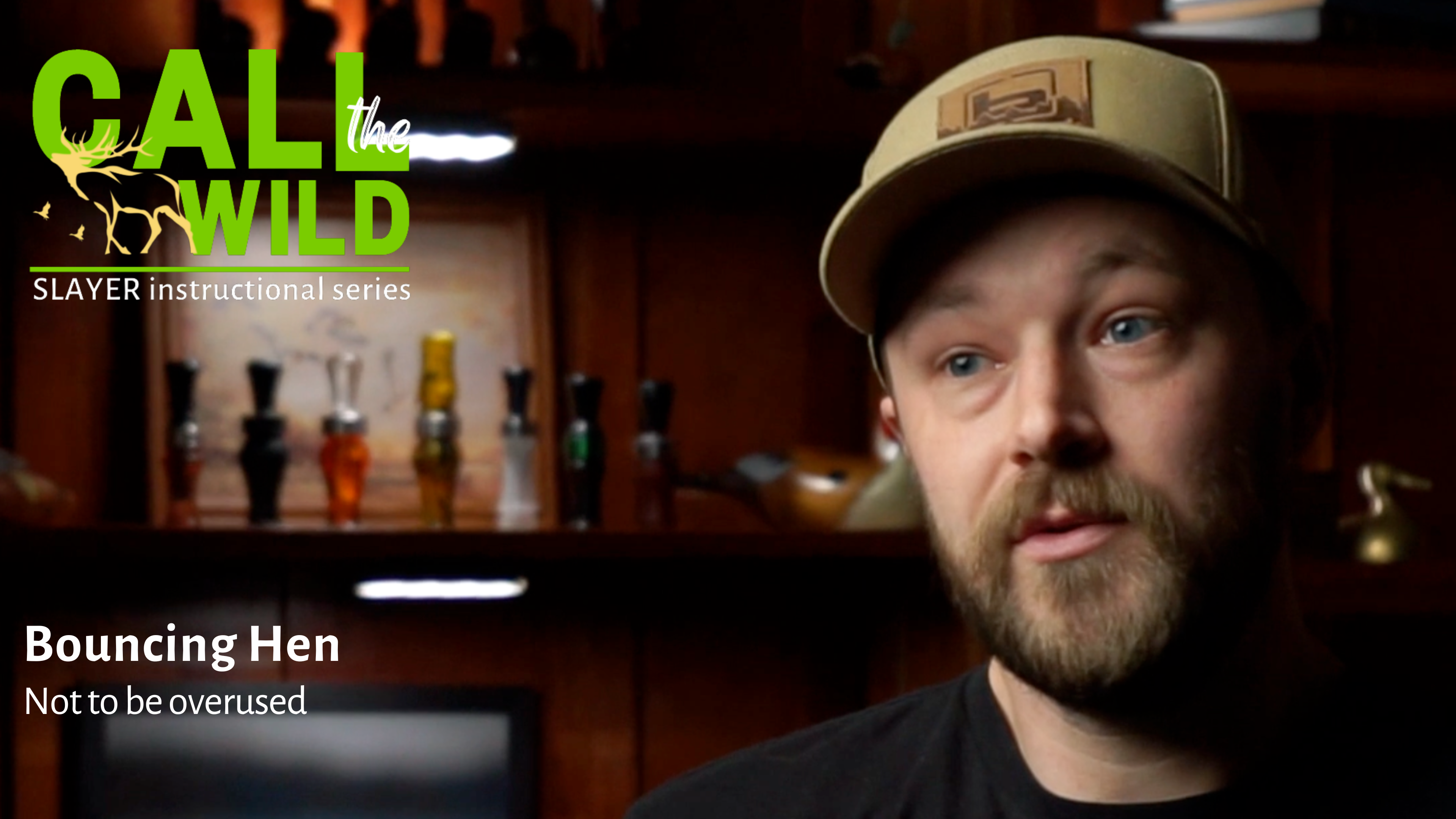 Episode 7: Bouncing Hen - Great on a Big Feed or Refuge