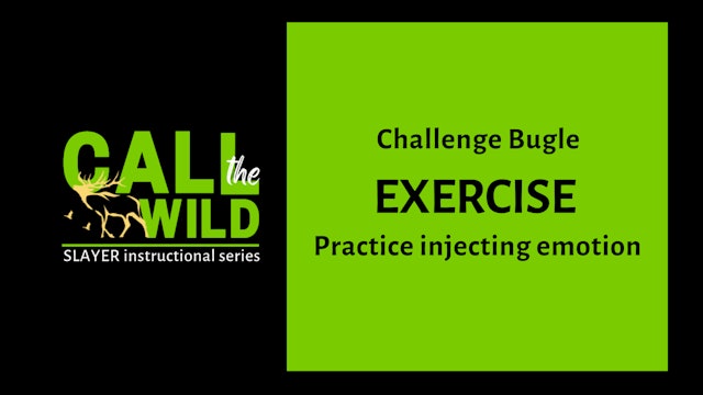 Exercise | Challenge Bugle