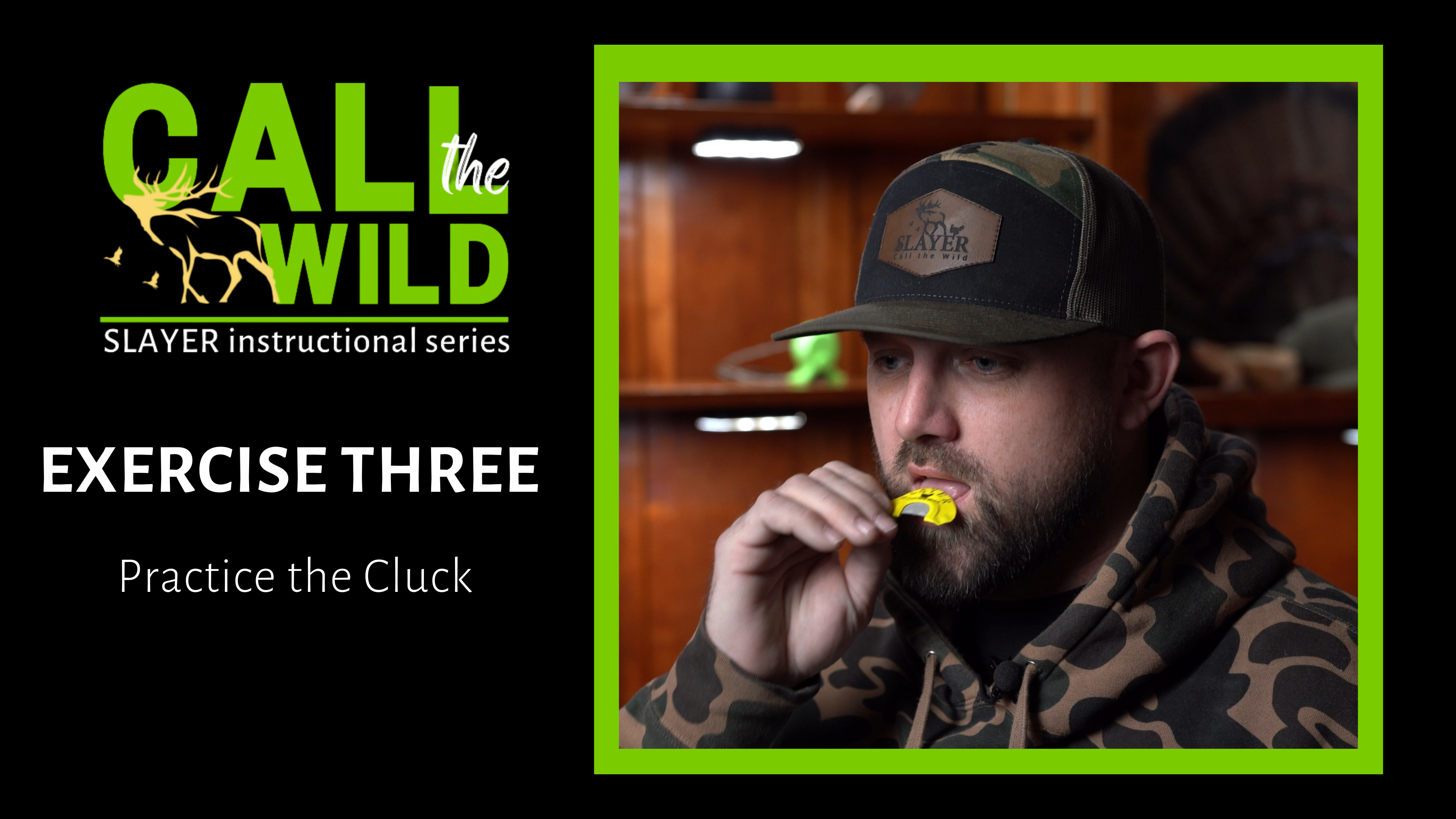 Exercise 3: Master the Cluck