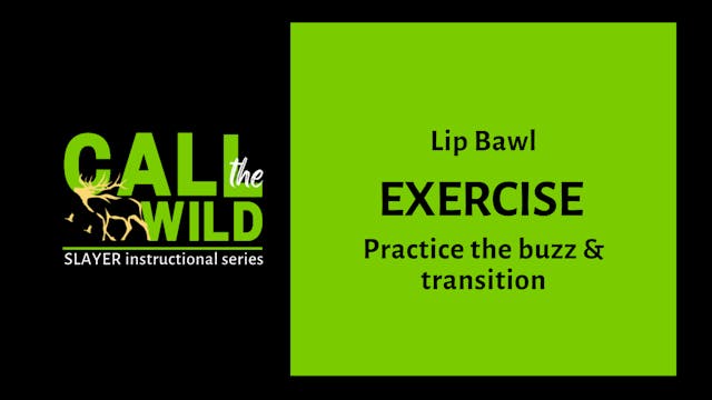 Exercise | Lip Bawl