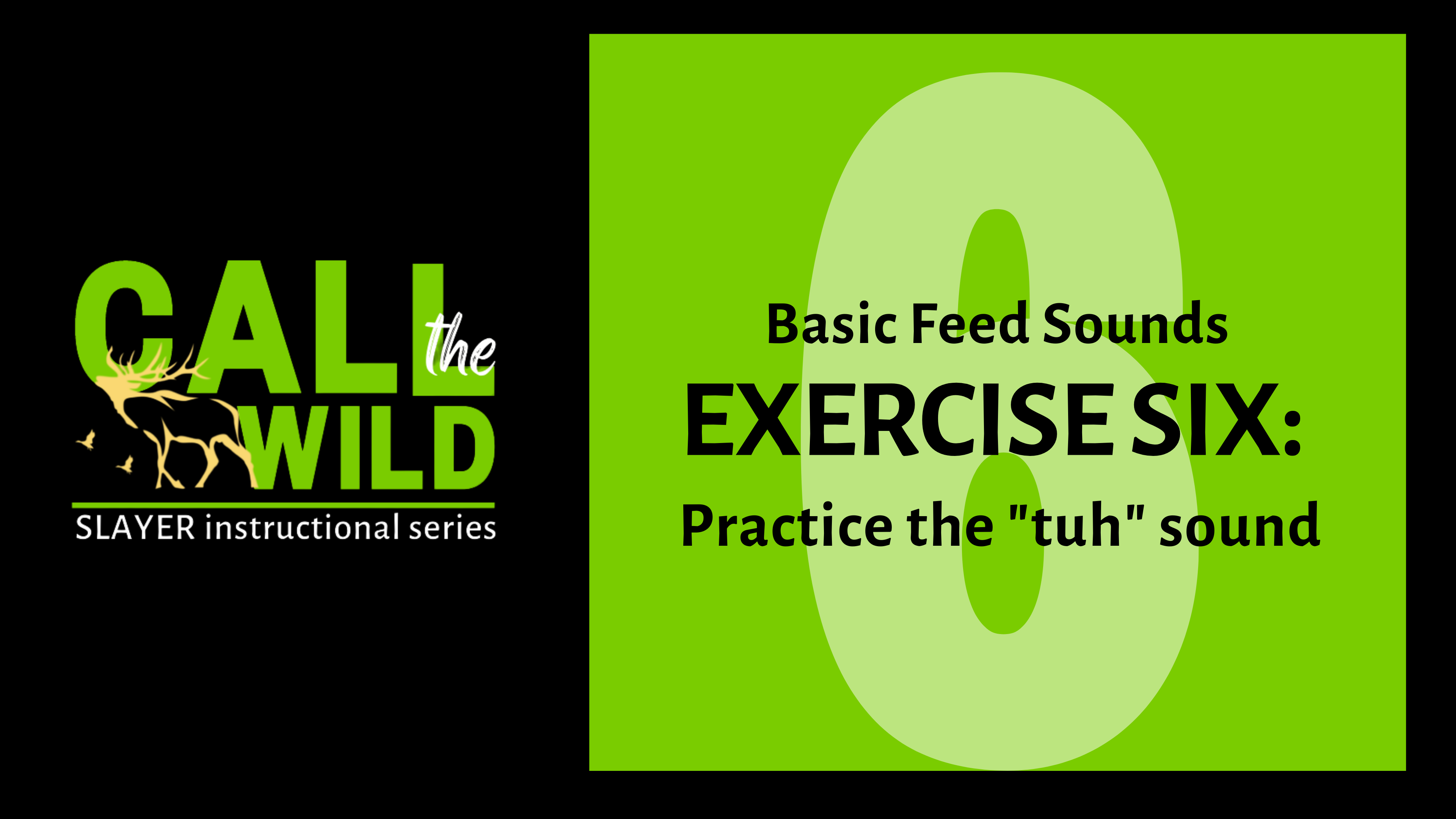 Episode 12 : Exercise SIX