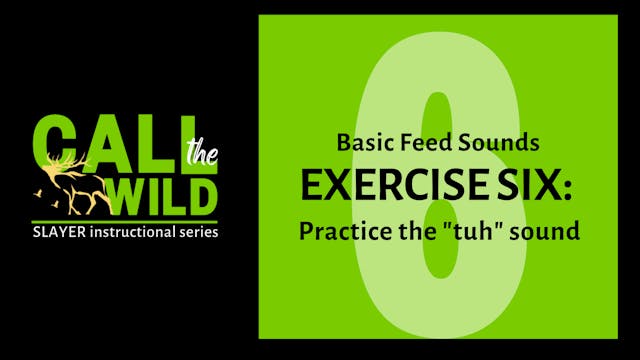 Episode 12 : Exercise SIX