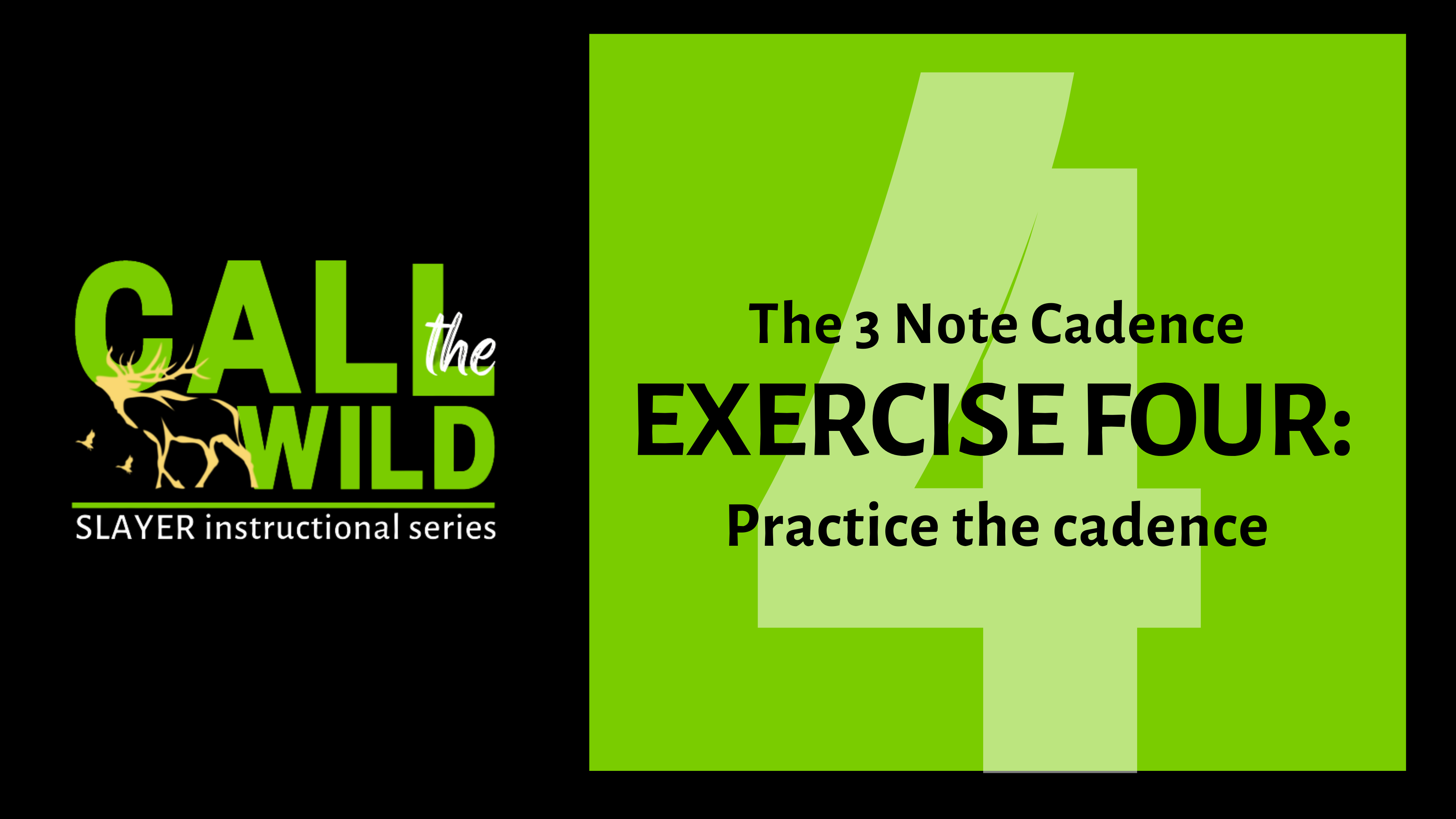 Episode 8 : Exercise FOUR