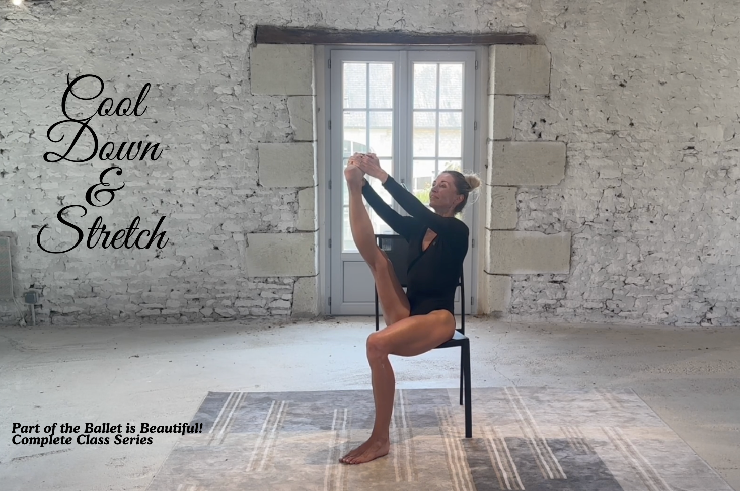 Sleek Ballet Fitness | Ballet and Barre Workouts Video