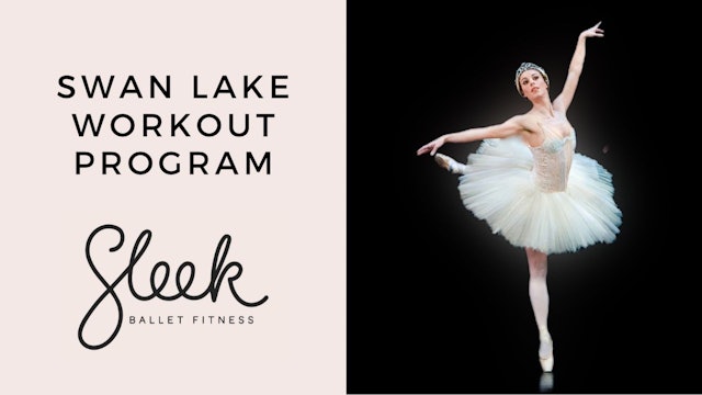 Swan Lake Workout Program