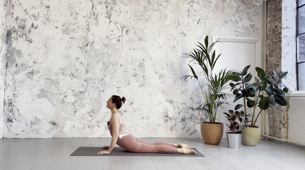 Ballet Form & Function Program Trailer