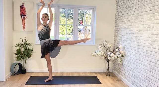 Swan Lake Stretch and Extend