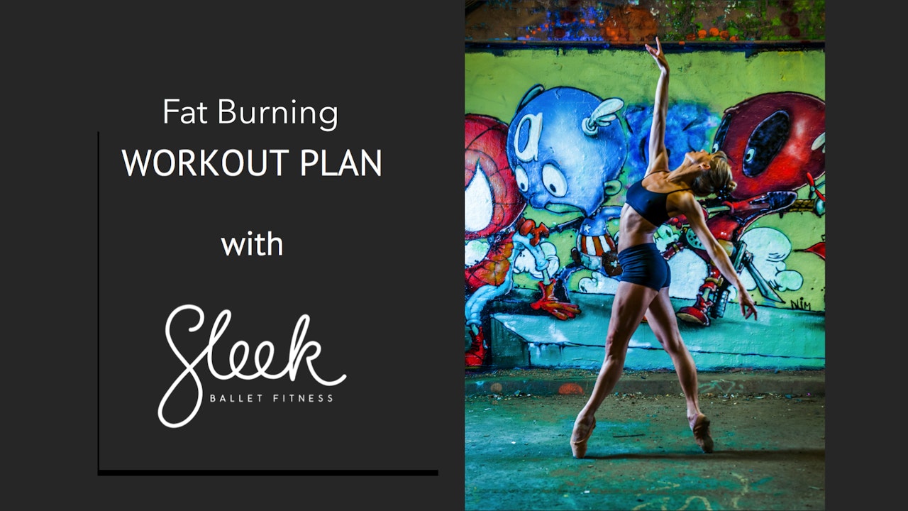 Fat Burning Sleek Plan