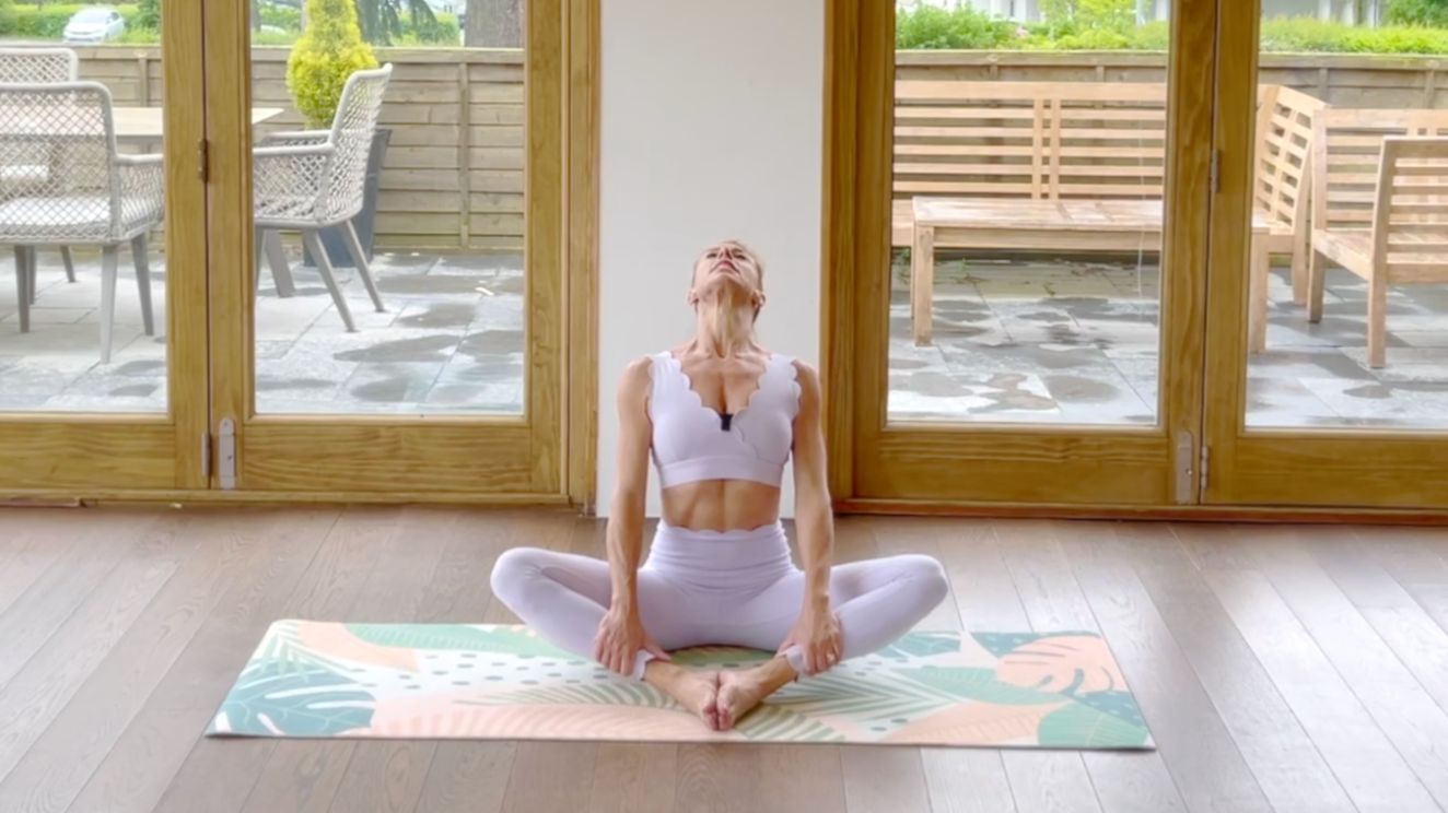 Sleek Ballet Fitness | Ballet and Barre Workouts Video