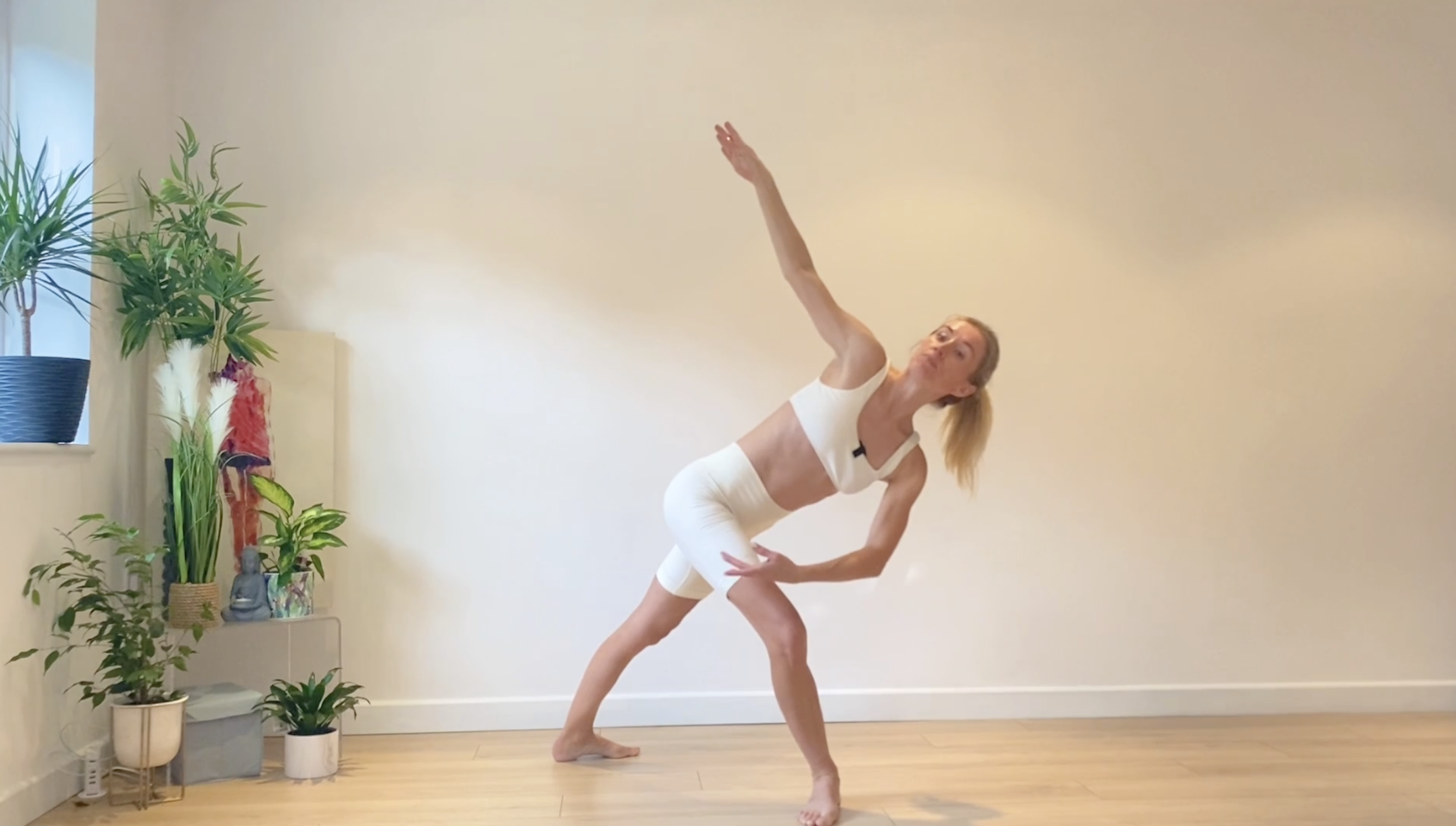 Dancer Body - Steely Abs and Legs 