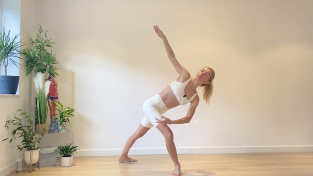 Dancer Body - Steely Abs and Legs