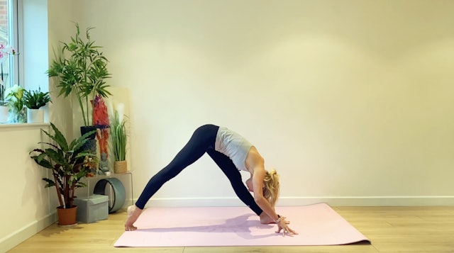 Whole Body Active Stretch