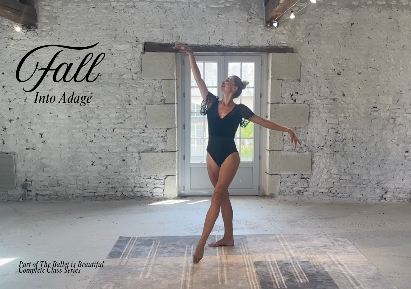 Sleek Ballet Fitness | Ballet and Barre Workouts Video