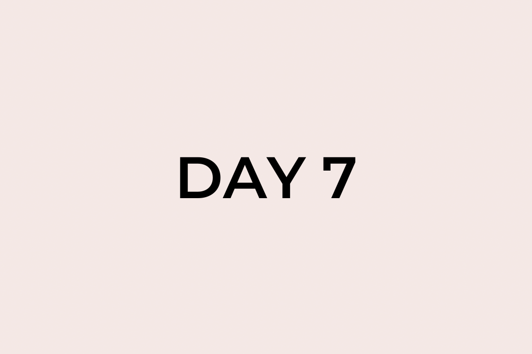 Day 7