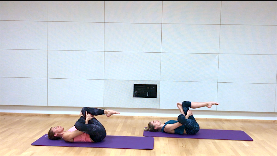 Back pain and flexibility workout