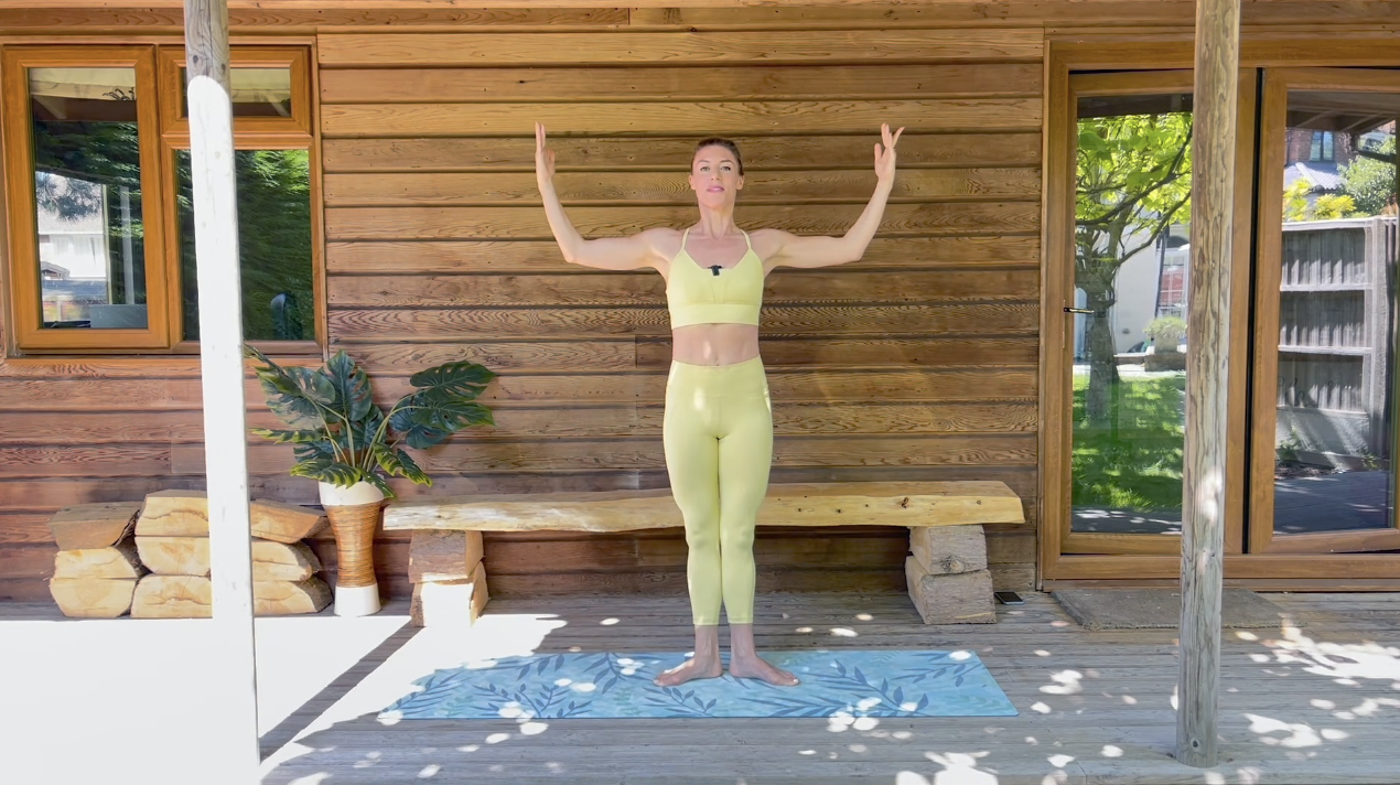 Posture Perfecter - Back & Arms