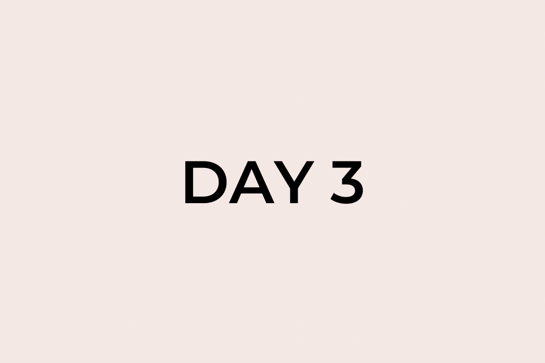 Day 3
