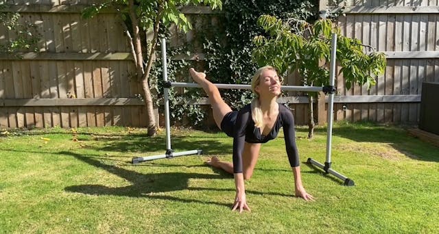 Booty Barre in 5 minutes