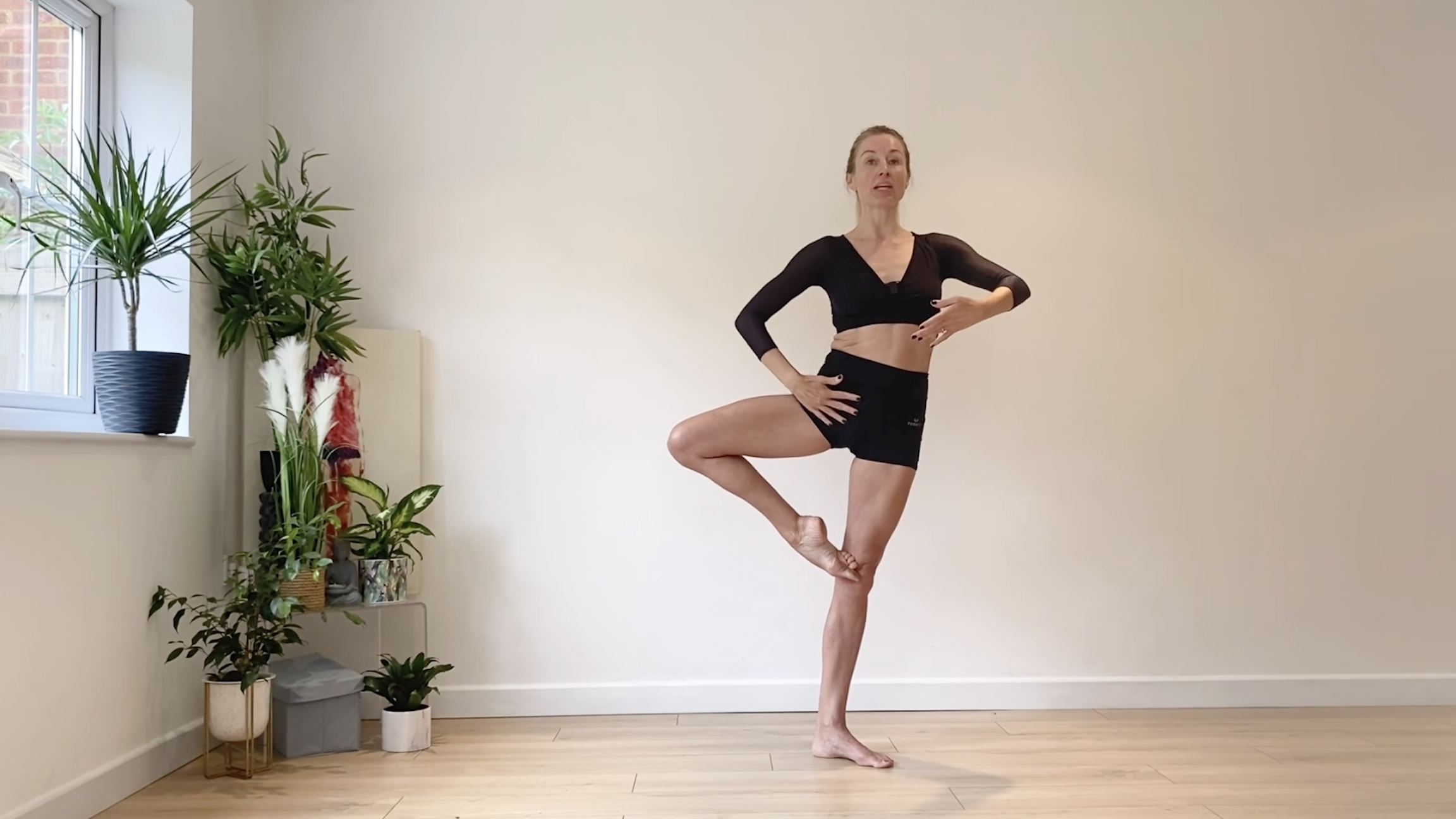 Ballet is Beautiful - Rotate