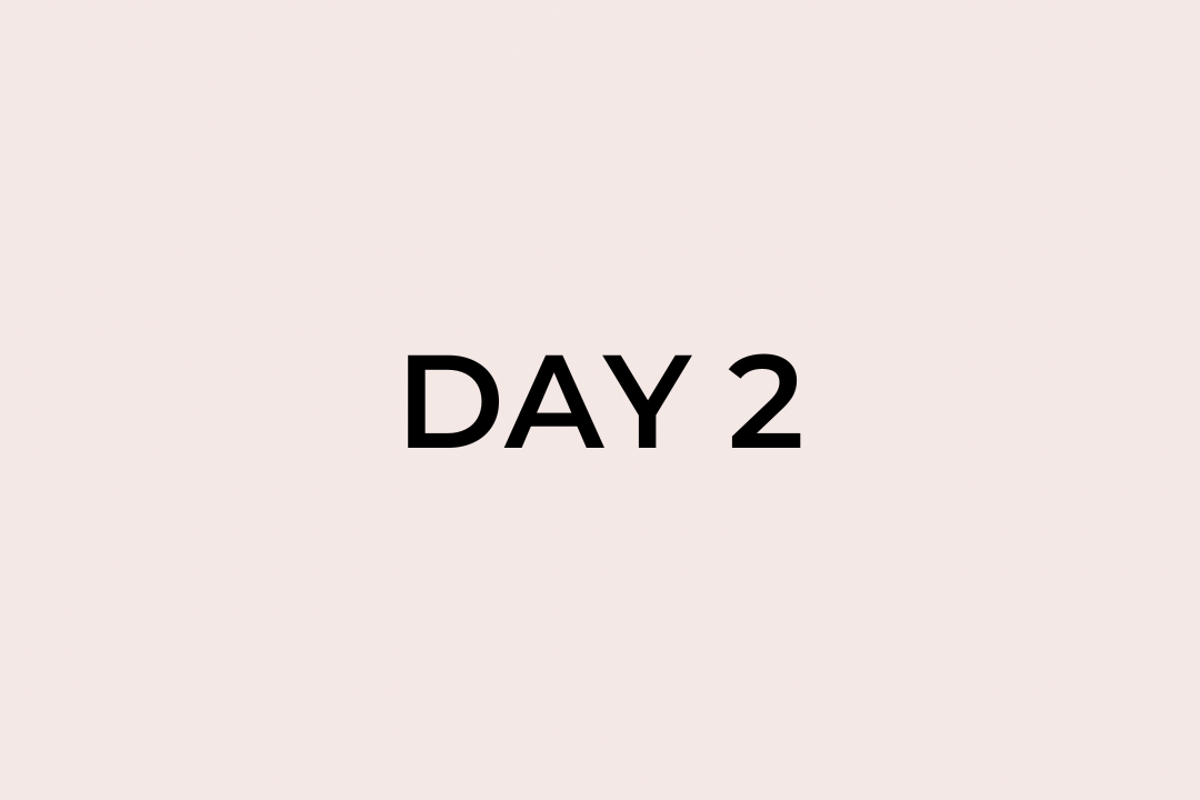 Day 2