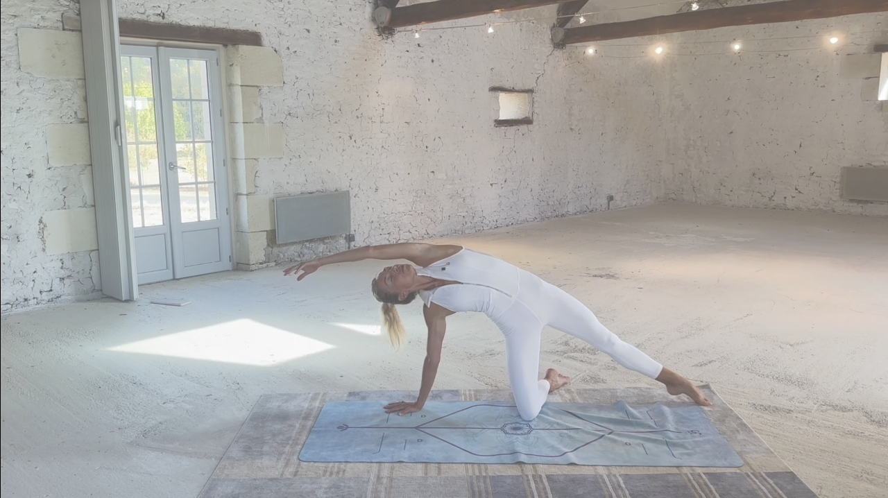 Sleek Ballet Fitness | Ballet and Barre Workouts Video