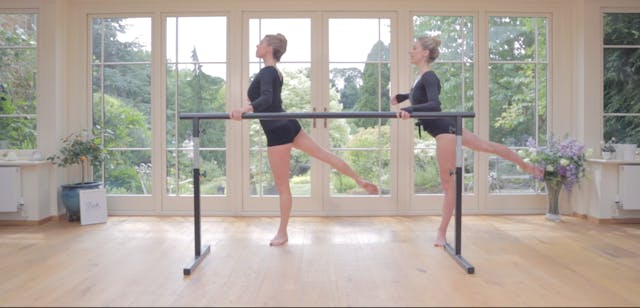 Sleek Barre Technique ™ - Move