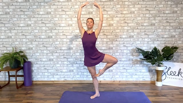 Body & Mind Ballet - Fortify