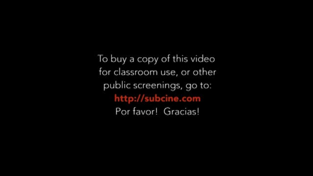Why Cybraceros?