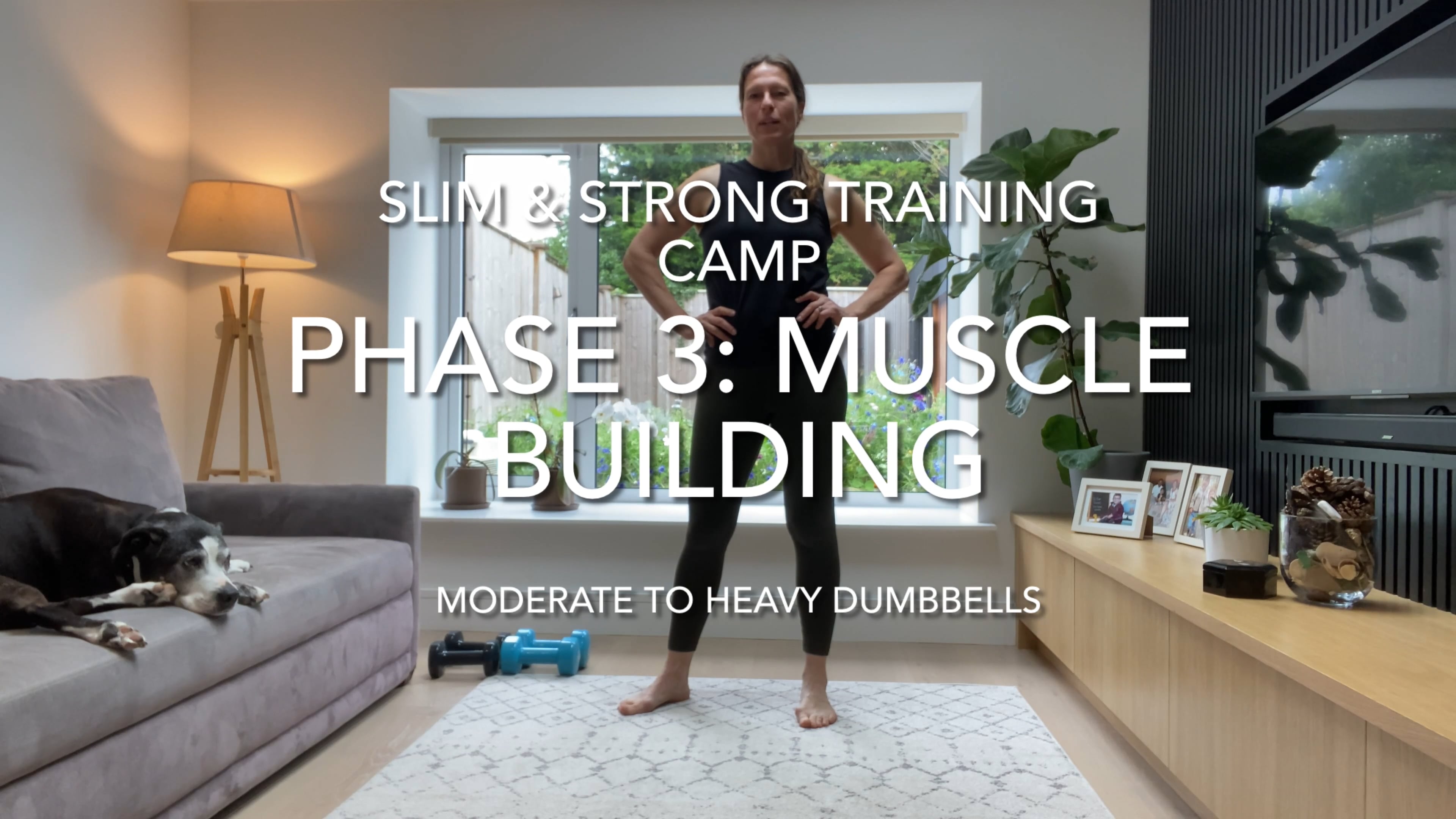 21-Minute Full Body Muscle Building (mod to heavy dumbbells)