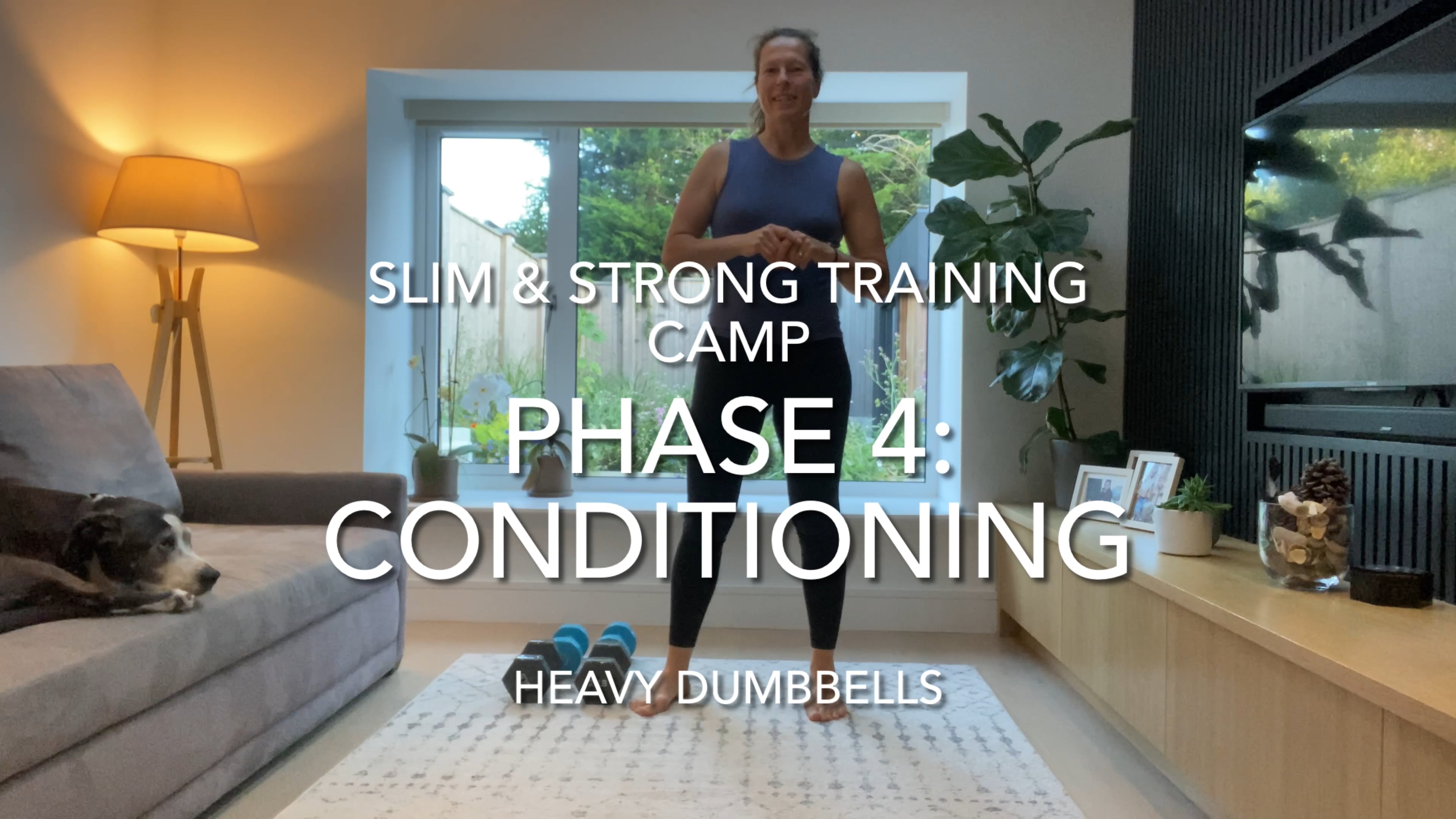 11 Minute Upper Body & Core Conditioning (heavy dumbbells)