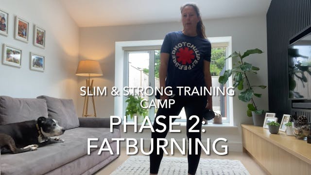19-Minute Full Body Fatburning (light...