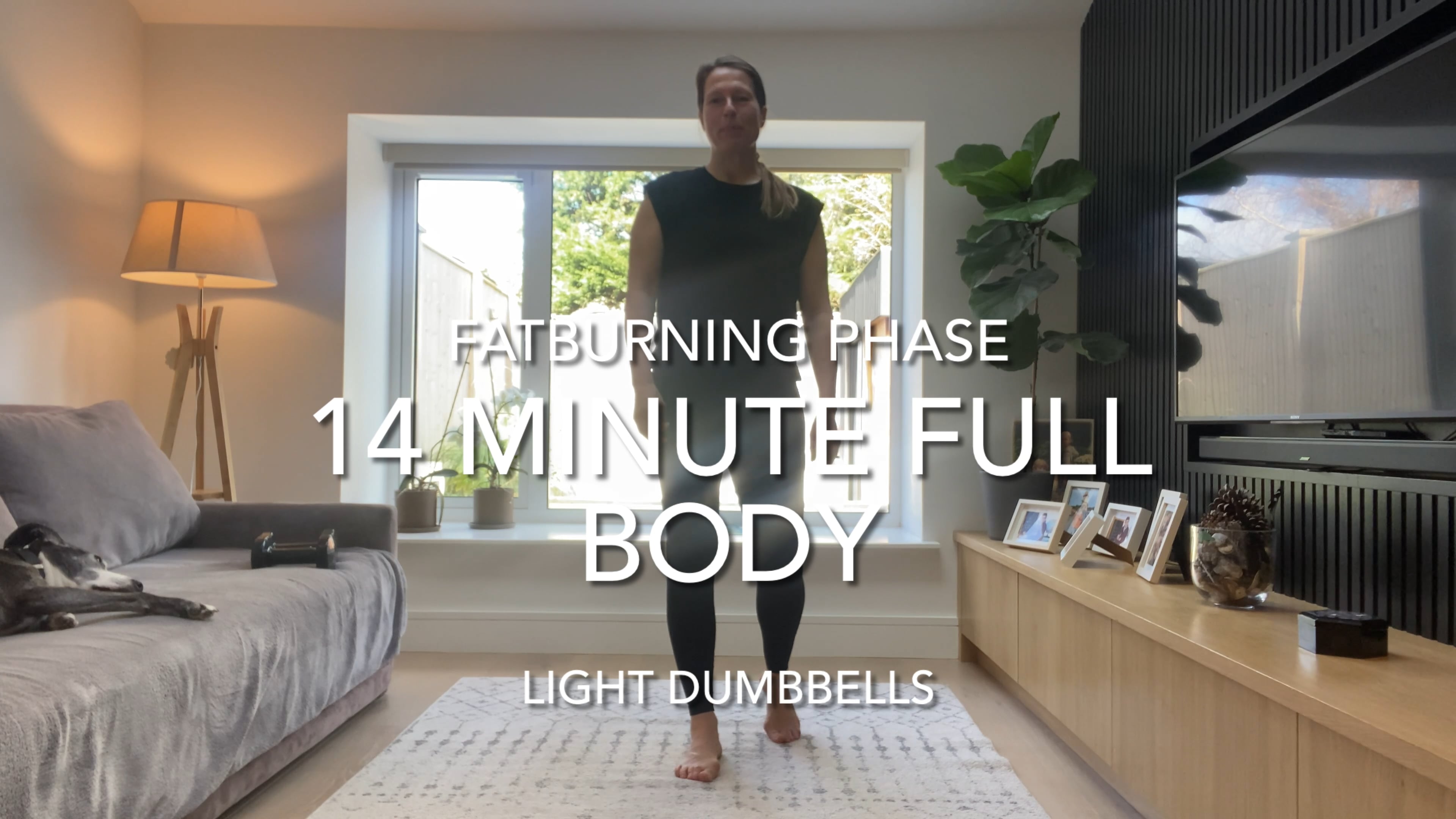 14 Minute Full Body (dumbbells)